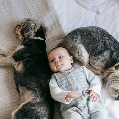 Baby with dogs